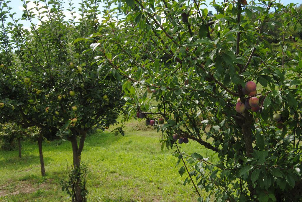 Willa La Chiusuraccia Barberino di Mugello Zewnętrze zdjęcie